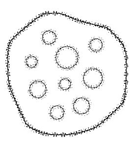 Micro - decomposition, reproduction, chemical exchange