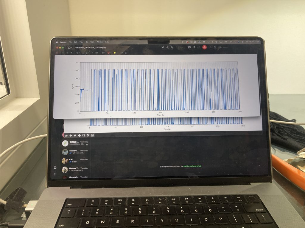 Software setup